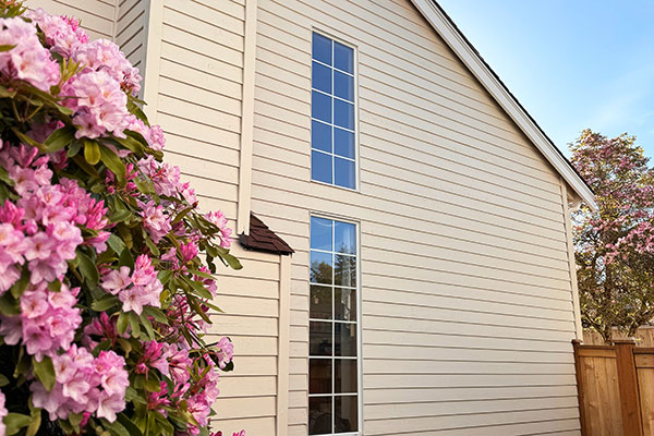 Siding Installation and Repair Services